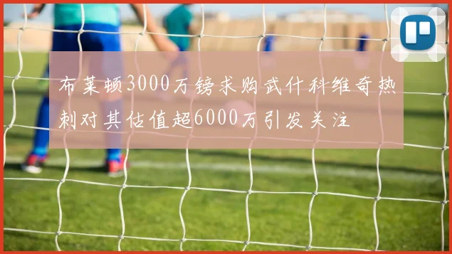 布莱顿3000万镑求购武什科维奇热刺对其估值超6000万引发关注