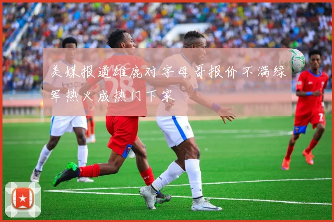 美媒报道雄鹿对字母哥报价不满绿军热火成热门下家